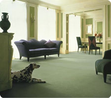 carpet image